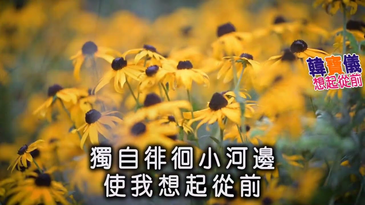 韓寶儀【想起從前】KTV天籟之音國語原聲甜歌皇后80年代經典甜美情歌懷舊金曲華語老歌精選流行好歌百萬暢銷BestSongs Of HanBaoYi MUSICVIDEO Chinesemelodies