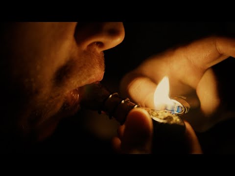 afbeelding Interpol - Take You on a Cruise - Servant