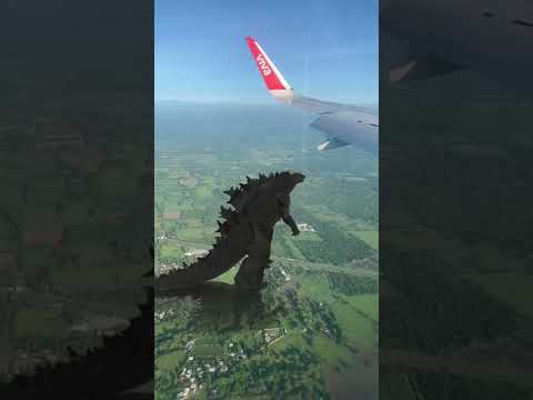 GODZILLA DESDE EL AVIÓN! 😱😱🔥 #godzilla #monsterverse #vfx #parodia