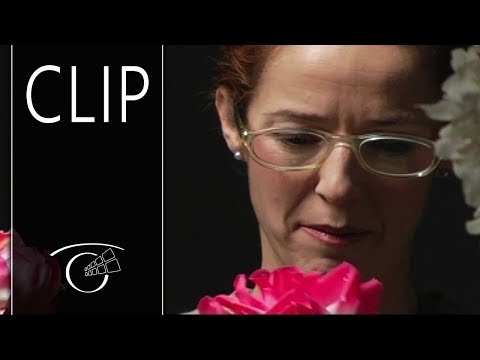 El futuro está en el porno - Clip