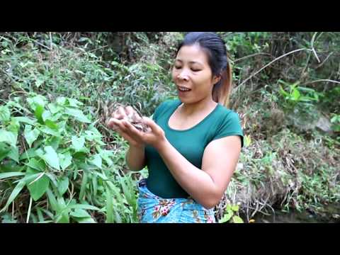 Find & catch the locusts fried on clay for food - Cooking locusts eating delicious #20 Video