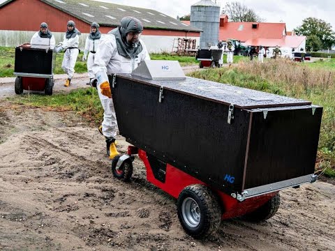 Schliessung aller Pelzfarmen in Europa