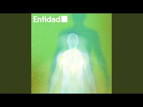 Entidad