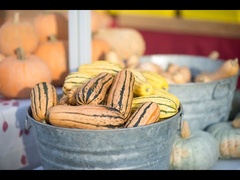 Delicata Squash 3 Ways