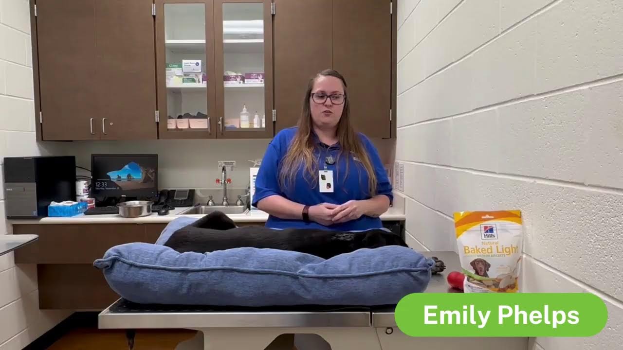 What to know about Houston SPCA Wellness Clinic | Pet Pawcast