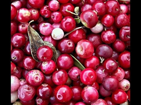 Cranberries 101-About Cranberries and Their Health Benefits