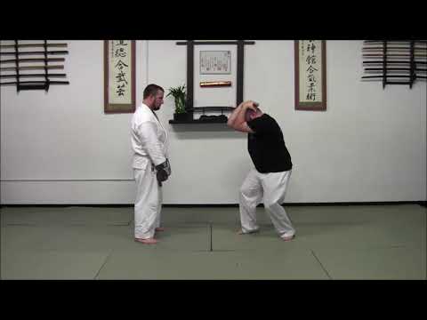 Fighting With Aiki - Aiki Sage | American Yoshinkan Aiki Jujutsu