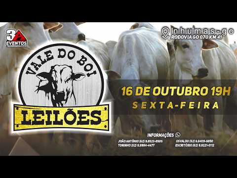 VALE DO BOI LEILOES - INHUMAS GO  - LEILAO VIRTUAL E PRESENCIAL - 23 DE OUTUBRO 2026