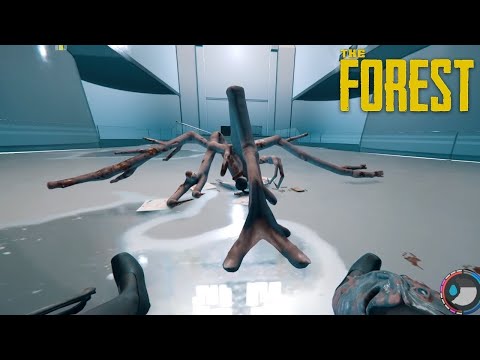 KÖNNEN WIR MEGHAN BESIEGEN?! I The Forest [ENDBOSS]