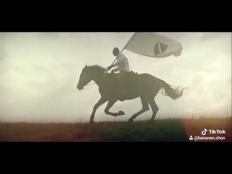 Zvjeo alija i bosnanska armija🇧🇦👌⚜