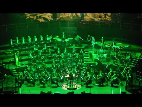 Riverdance (A Symphonic Suite) - City Light Symphony Orchestra | 19 March 2023