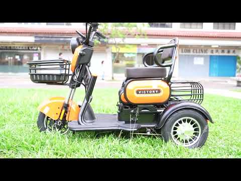 LTA Approved PMA (Personal Mobility Aid) 48V 21Ah | 12" x 3" Fat Tyres | Front & Rear Suspension