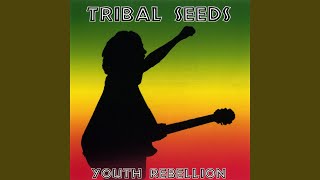 Youth Rebellion - DUB (Original)