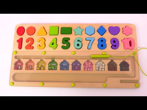 Apprendre les chiffres, les formes et les couleurs en français