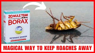 How To Use Borax For Cockroaches (Will It Really Work on Them?)