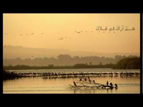 Mawtini - Omar Kamal