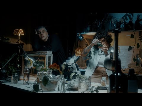 TIGER MOOD - LA SEMILLA (VIDEO OFICIAL)