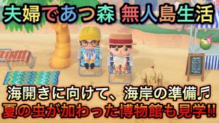 【あつまれ どうぶつの森】海開きに向けて海岸の装飾!! 夏の虫の博物館見学会★