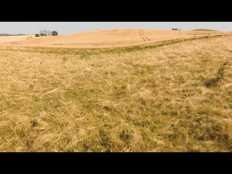 552. Sädesfält (Agricultural landscape)