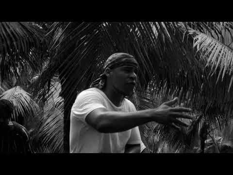 BSMG (Megaloh x Ghanaian Stallion x Musa) -  Brillant