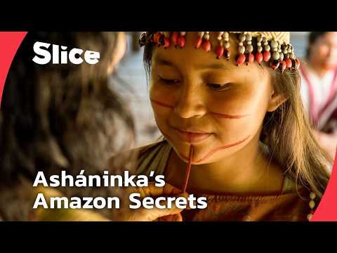 Inside Asháninka's World: Tradition and Womanhood in the Peruvian Amazon | SLICE | FULL DOCUMENTARY