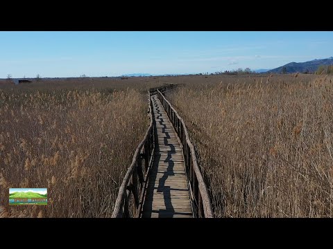 TRA LE SPONDE E LE PENDICI  7 - di Paolo Del Ry