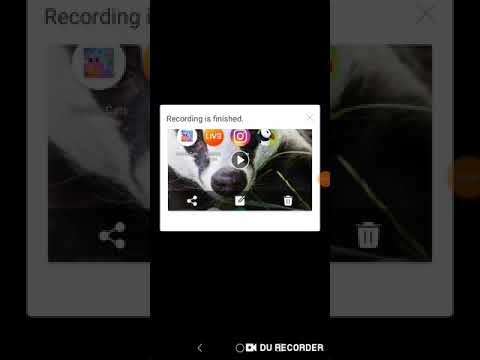 Simon's Cat Pop Time S9 part 30-35(2)