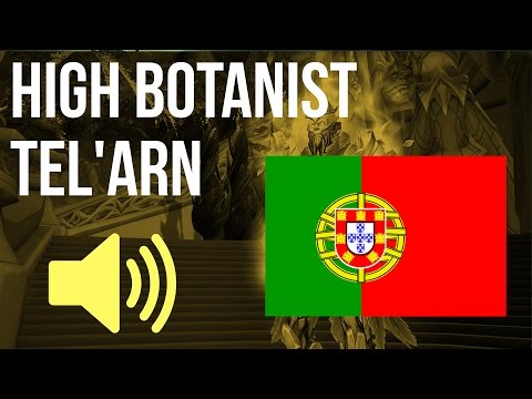 🔊 WoW in Portuguese [BR] - High Botanist Tel’arn / Alto-botânico Tel'arn Audio (O Baluarte da Noite)