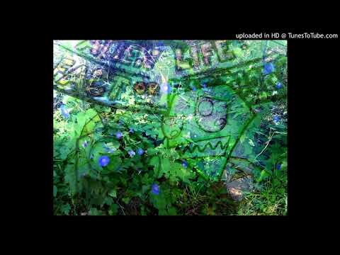 Matt Martians - I Know You Wanted To Fly...