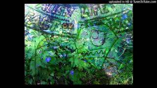 Matt Martians - I Know You Wanted To Fly...