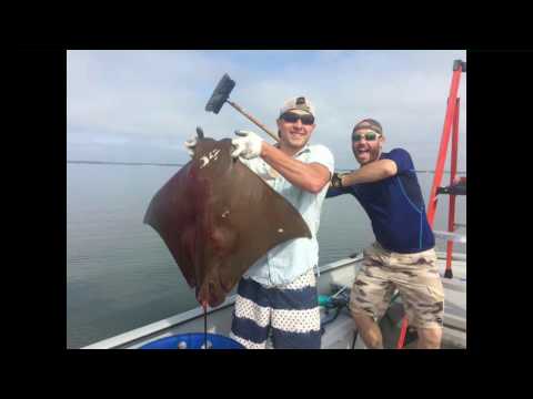Bowfishing for Stingrays