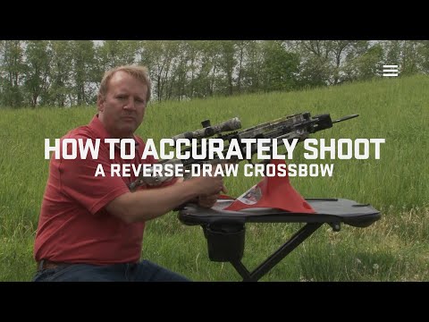How to Accurately Shoot your Flatline 460