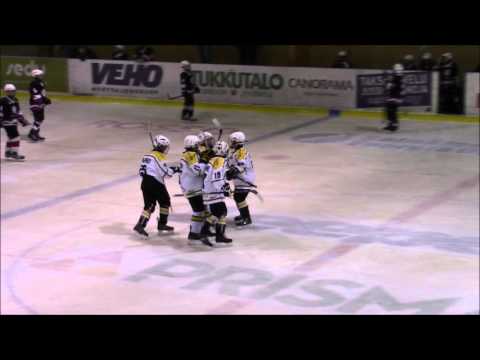 SKK:n maalit 14.11.2015