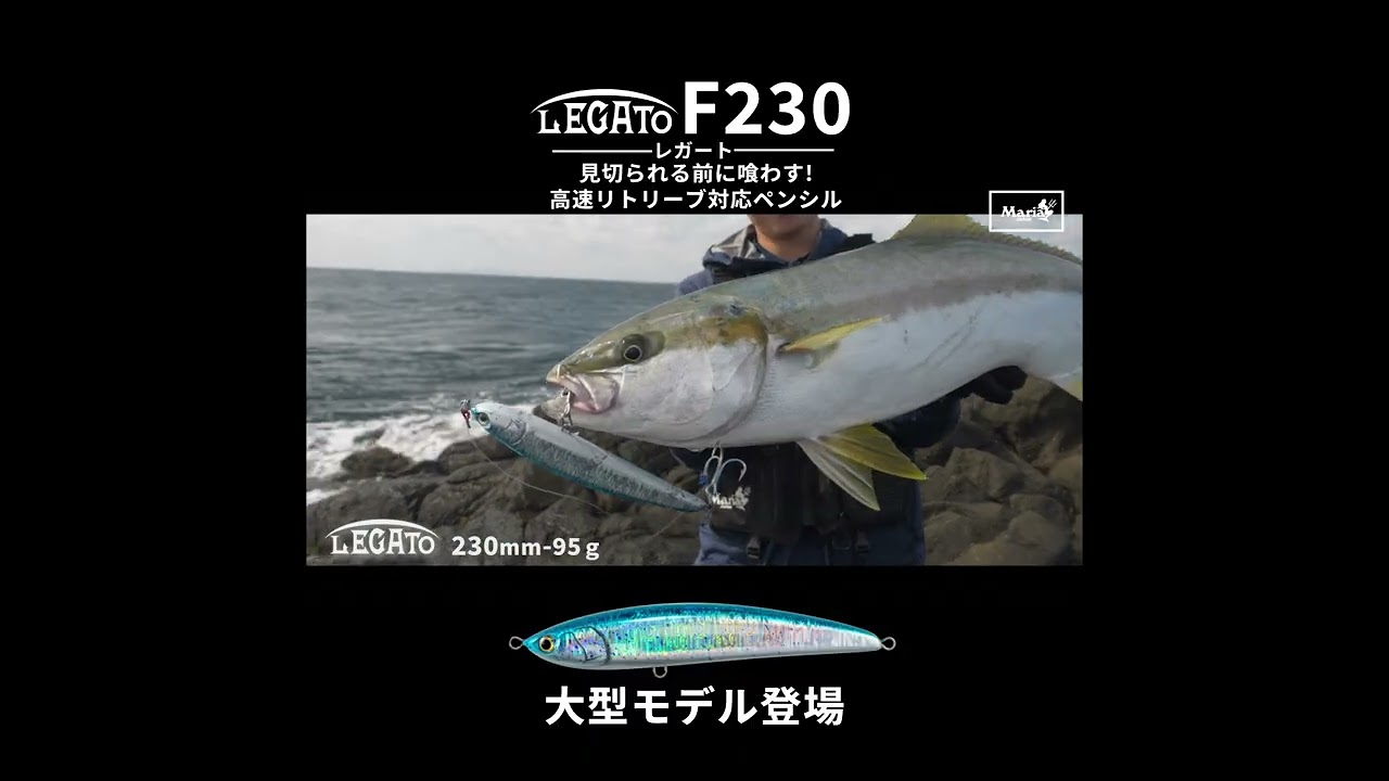 ヘビータックル仕様！「レガートF230」