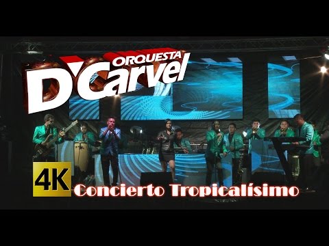Orquesta D´Carvel - Concierto Tropicalísimo y Algo Más / Calidad 4K