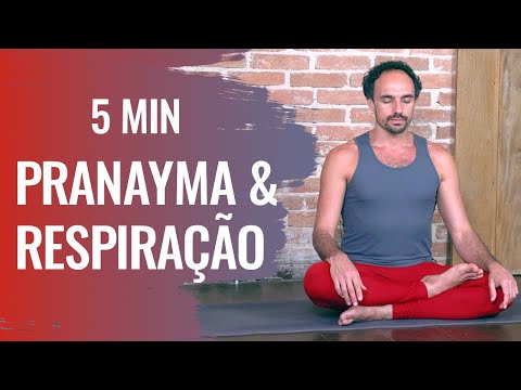 5 minutos de Pranayama | Exercícios de RESPIRAÇÃO do YOGA