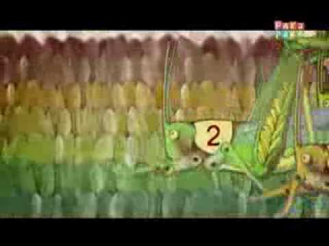 Noticias en miniatura: Langosta - Canal Pakapaka