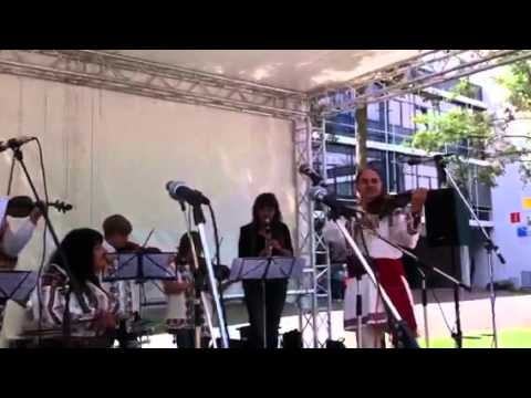 Promoroaca 23.07.11 Herzogenried Mannheim