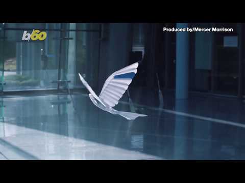 Robo-Bird! Company Creates Robot Bird That Looks Like a Real Bird in Flight!