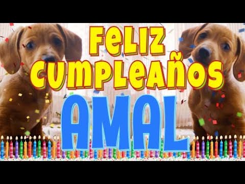 ¡Feliz cumpleaños Amal! (Perros hablando gracioso) ¡Muchas felicidades Amal!