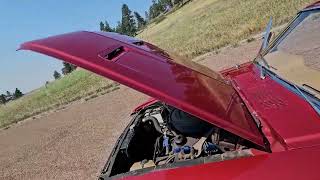 1968 Ford Mustang Coupe 302 - Walk Around