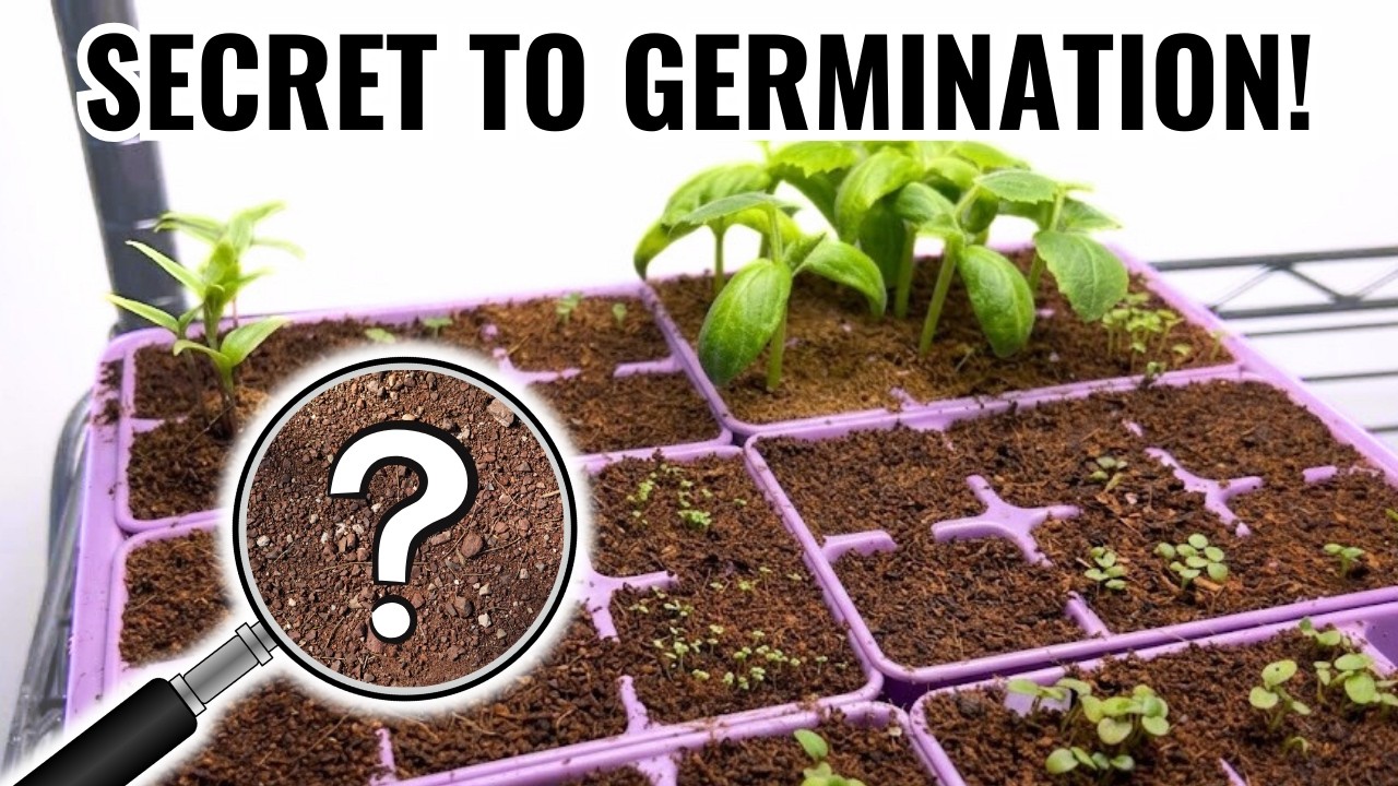 Starting Flower and Vegetable Seeds Indoors | My DIY Indoor Seed Starting Setup