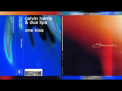 Calvin Harris ft. Dua Lipa, Camila Cabello, Shawn Mendes - One Señorita | MASHUP