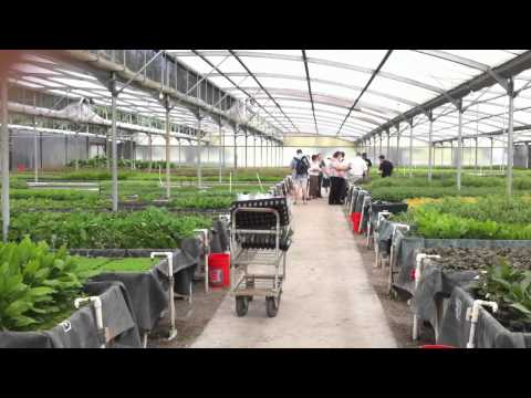 download lagu mp3 mp4 Florida Aquatics, download lagu Florida Aquatics gratis, unduh video klip Florida Aquatics