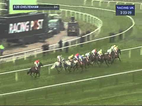 Cheltenham 2012 Ladbrokes World Hurdle - Big Bucks