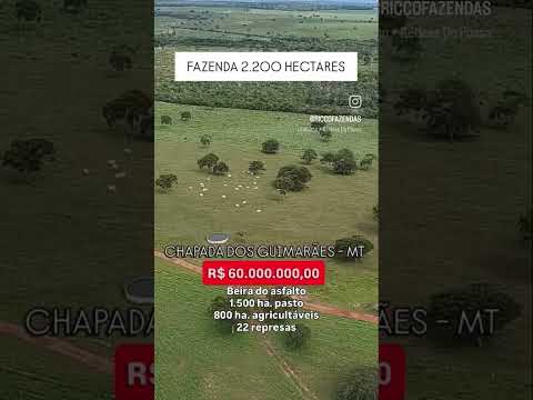 2.200 Hectares na região de Chapada dos Guimarães - MT | whatsapp 62 99373-6407