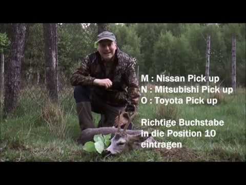 Alter Rehbock erlegt