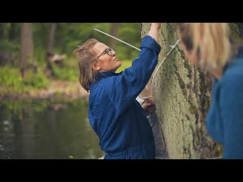 Retrospektive aquamediale 13 Kunstfestival 2019