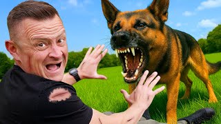 How to STOP A Dog Attack BEFORE It Happens!