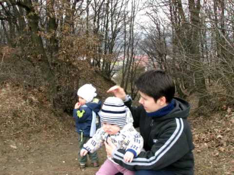Floresti 074.avi